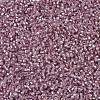 MIYUKI Delica Beads SEED-J020-DB1434-3
