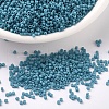 MIYUKI Delica Beads SEED-X0054-DB0798-1