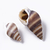 Natural Spiral Shell Beads SSHEL-S258-84-3