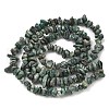 Natural Jade Beads Strands G-Z081-A02-3