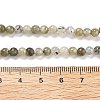 Natural Labradorite Bead Strands G-O155-05B-4mm-7