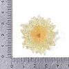 Translucent Resin Pendants RESI-R449-01E-3