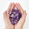 Raw Rough Natural Amethyst Beads G-WH0016-35-4