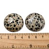 Natural Dalmatian Jasper Cabochons G-C115-02B-21-3