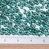 MIYUKI Round Rocailles Beads X-SEED-G007-RR0030-4