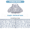 10M Paillette Tassel Ribbon Trim OCOR-WH0078-162B-2