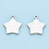925 Sterling Silver Charms STER-T006-17S-2