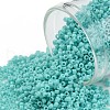 TOHO Round Seed Beads SEED-JPTR15-0055-1