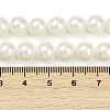 Shell Pearl Beads Strands BSHE-XCP0001-63A-4