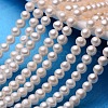 Natural Cultured Freshwater Pearl Beads Strands PEAR-E009-5-5.5mm-1
