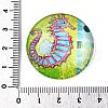 Glass Cabochons GGLA-T004-11K-2