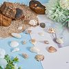 SUPERFINDINGS Natural Shell & Conch Decorations SHEL-FH0001-20-4