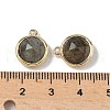 Brass Pave Natural Labradorite Faceted Flat Round Charms G-U028-03G-06-3