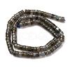 Natural Labradorite Beads Strands G-Z006-C52-3
