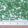 MIYUKI Round Rocailles Beads X-SEED-G007-RR0179-4