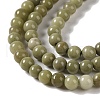 Natural Alashan Agate Beads Strands G-P530-B05-01-4