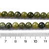 Natural Canada Jade Beads Strands G-NH0029-02C-3