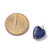 Acrylic Imitation Gemstone Style Pendants PALLOY-JF03511-5