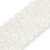 Natural White Jade Beads Strands G-B128-A02-04-1