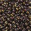 Glass Seed Beads SEED-H002-B-D224-3
