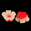 Resin Cabochons X-RB773Y-2