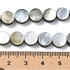 Natural Black Lip Shell Beads Strands BSHE-D300-05-8mm-2