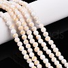Natural Mashan Jade Beads Strands G-A255-A01-04H-1