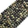 Natural African Turquoise(Jasper) Beads Strands G-P573-A28-01-2