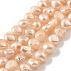 Natural Cultured Freshwater Pearl Beads Strands PEAR-A006-04B-2