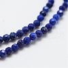 Natural Lapis Lazuli Bead Strands G-G663-48-2mm-3