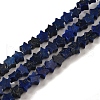 Natural Lapis Lazuli Beads Strands G-G085-B02-01-1