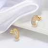 Arch 925 Sterling Silver Cubic Zirconia Stud Earrings for Women EJEW-P231-37G-2