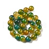 Natural Multi-Color Agate Beads Strands G-A261-B16-14mm-3