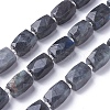 Natural Labradorite Beads Strands G-L499-01-1