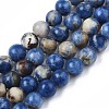 Natural Sodalite Beads Strands G-S279-10-6mm-1