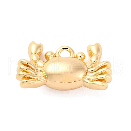 Brass Pendants KK-E793-26G-1