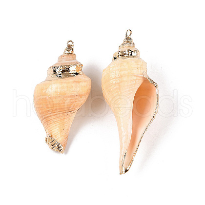 Natural Conch Shell Big Pendants SSHEL-N038-24A-1