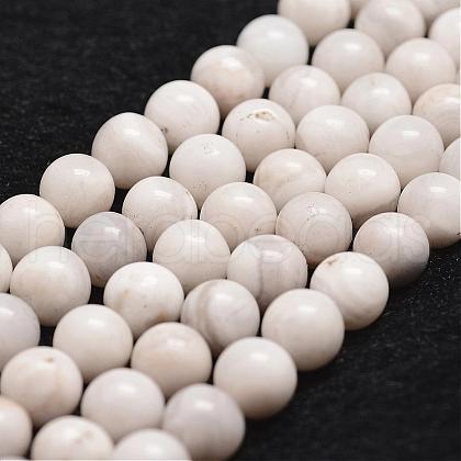 Natural White Crazy Lace Agate Bead Strands G-D840-55-10mm-1