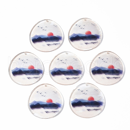 Transparent Printed Acrylic Pendants KY-S163-295-1