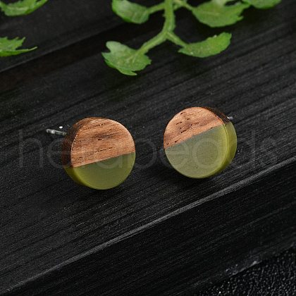 Opaque Resin & Walnut Wood Stud Earrings EJEW-N017-008-B08-1