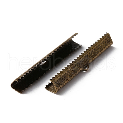 Iron Ribbon Ends IFIN-WH0085-10A-AB-1
