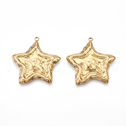 304 Stainless Steel Pendants STAS-N109-80G-1