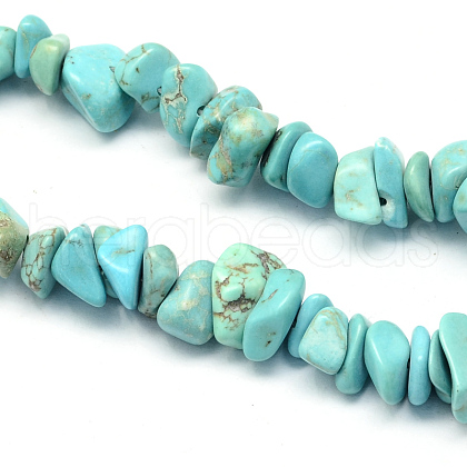 Synthetic Green Turquoise Stone Bead Strands G-R192-B23-1-1