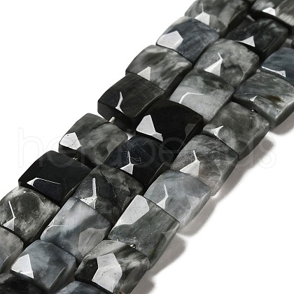 Natural Eagle Eye Stone Beads Strands G-G980-12-1