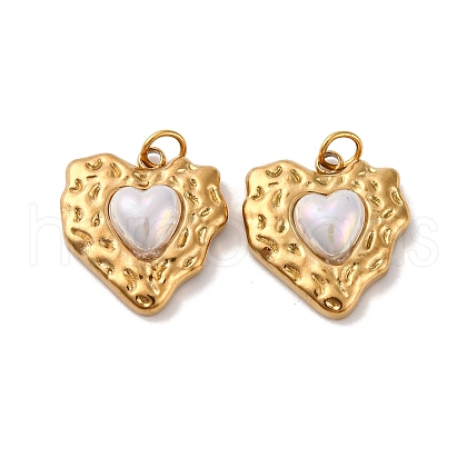 304 Stainless Steel Resin Pendants STAS-U061-02G-1