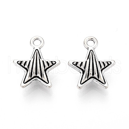 Tibetan Style Alloy Charms TIBE-N013-17AS-1