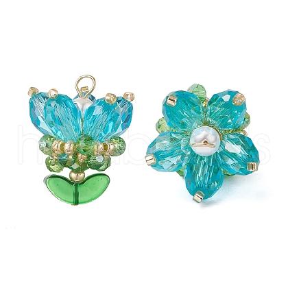 Transparent Glass Pendants PALLOY-MZ00722-03-1