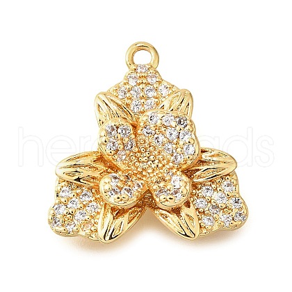 Brass Micro Pave Clear Cubic Zirconia Pendants KK-U065-02B-G-1