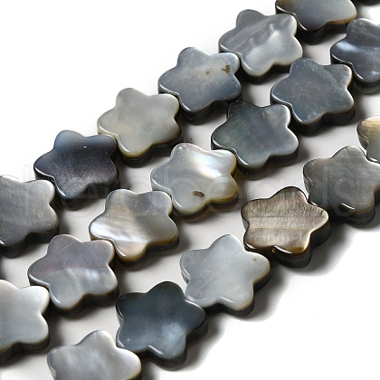 Natural Black Lip Shell Beads Strands SHEL-M021-02A-1