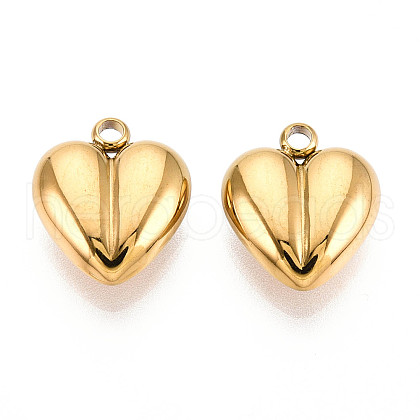 304 Stainless Steel Charms STAS-T065-80G-1